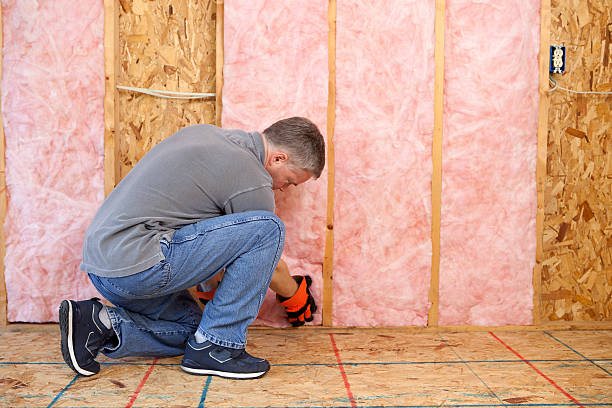 Best Geographic-Specific Insulation Services in Pennsboro, WV